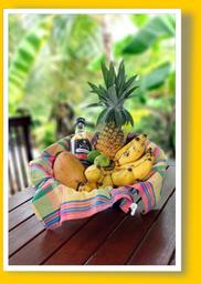 Cliquez pour agrandir l'image